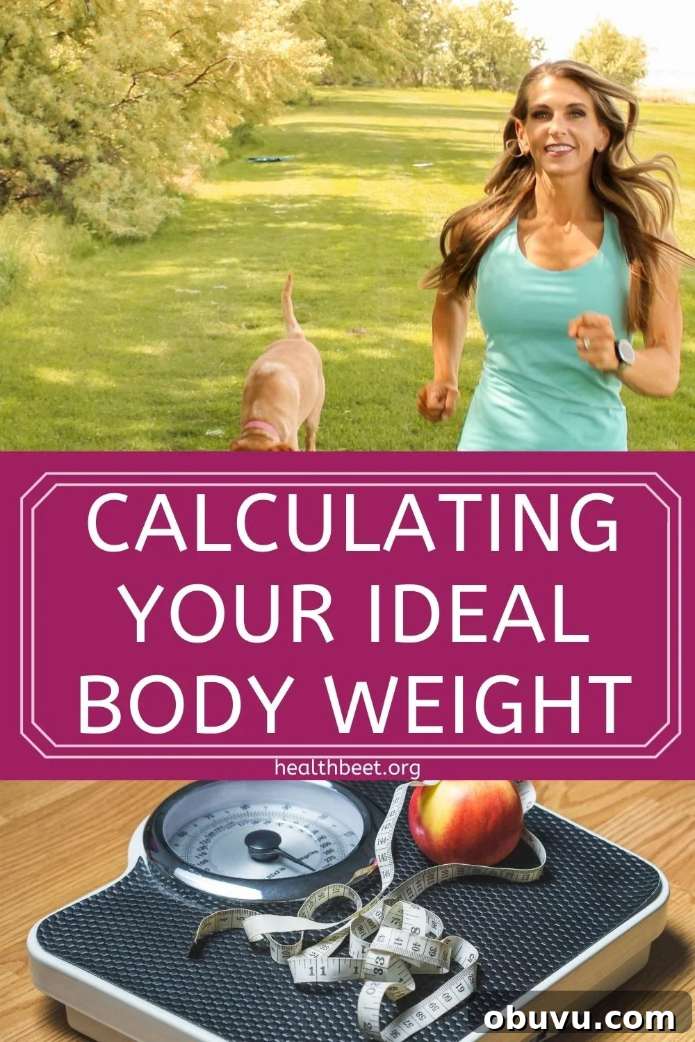 Find Your Ideal Body Weight: Calculate Your Optimal Weight Now 4 calculating your ideal body weight