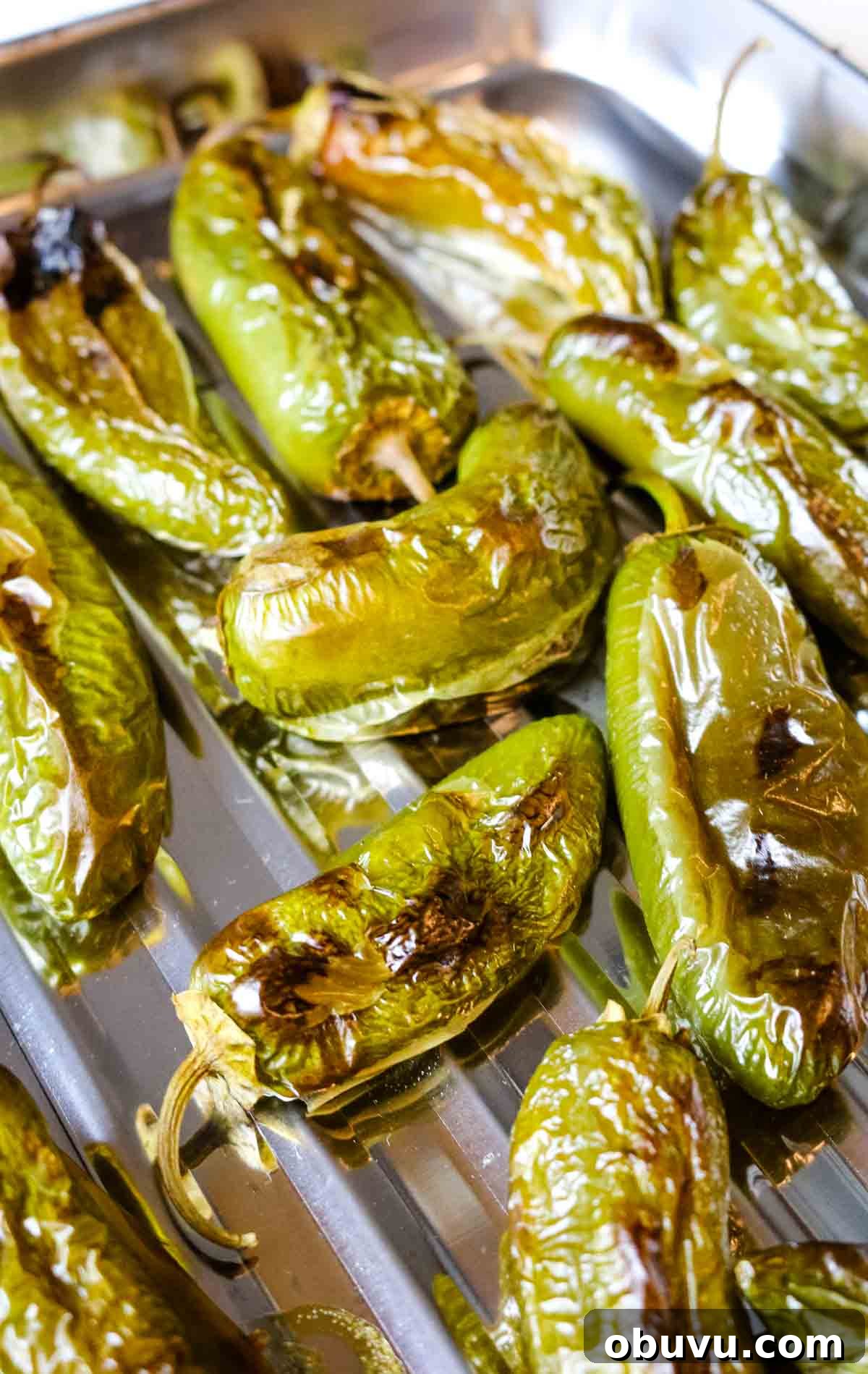 Charred Jalapeños: How to Roast and Use Smoky Peppers 10 blistered and charred jalapeno peppers on a sheet.