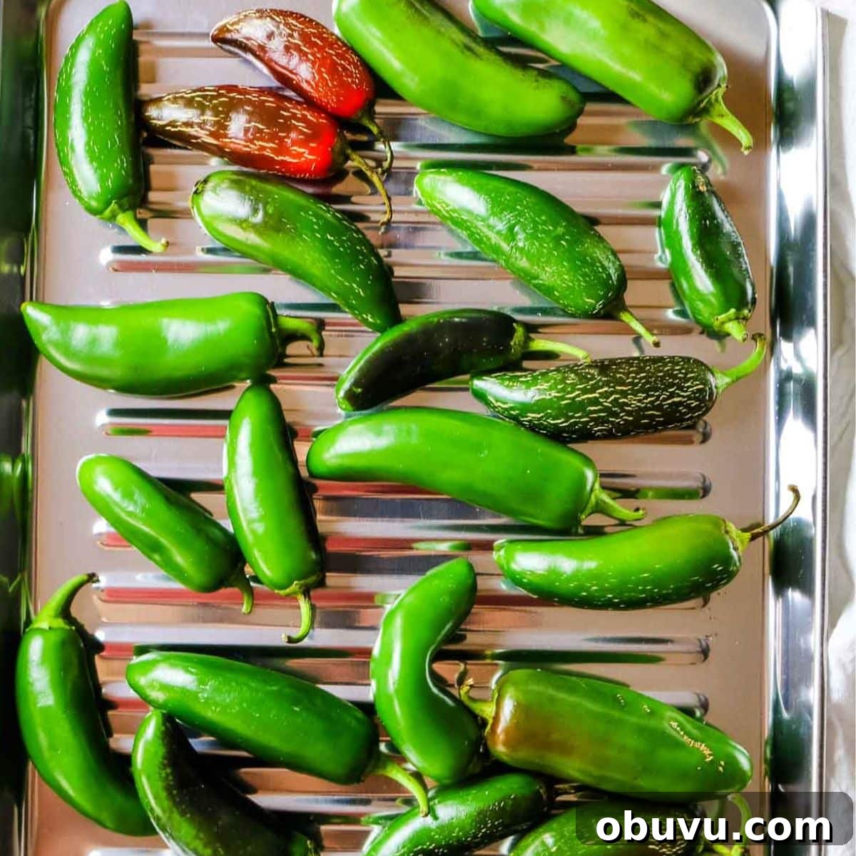 Charred Jalapeños: How to Roast and Use Smoky Peppers 6 green and red japenos on a tray.