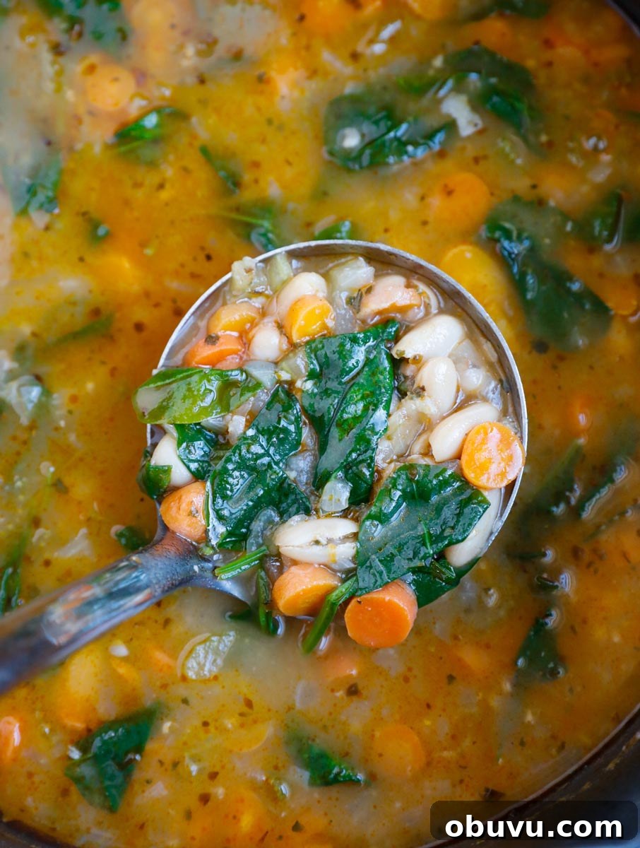Authentic Tuscan White Bean Soup Recipe for Cozy Weeknights 8 A ladle of Tuscan white bean soup.