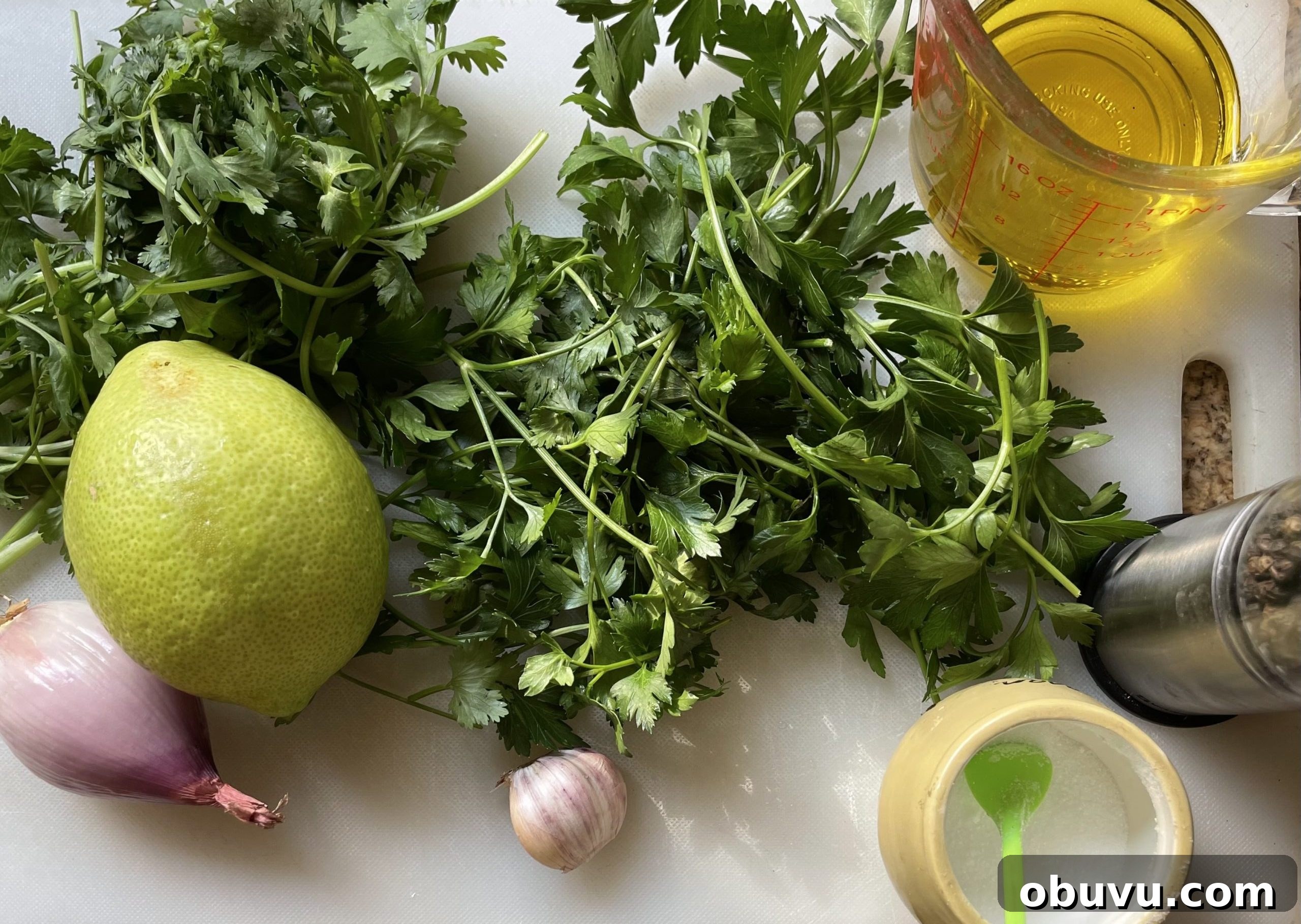 Ingredients for chimichurri sauce Ingredients for chimichurri sauce