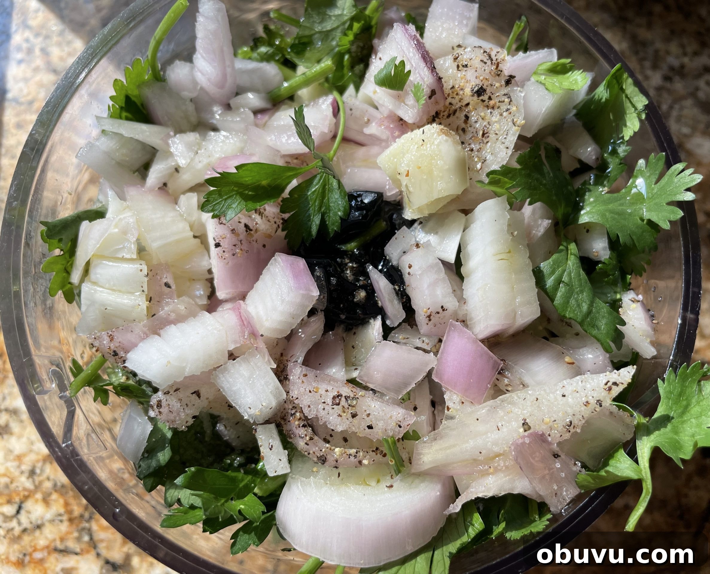 chimichurri ingredients in blender chimichurri ingredients in blender
