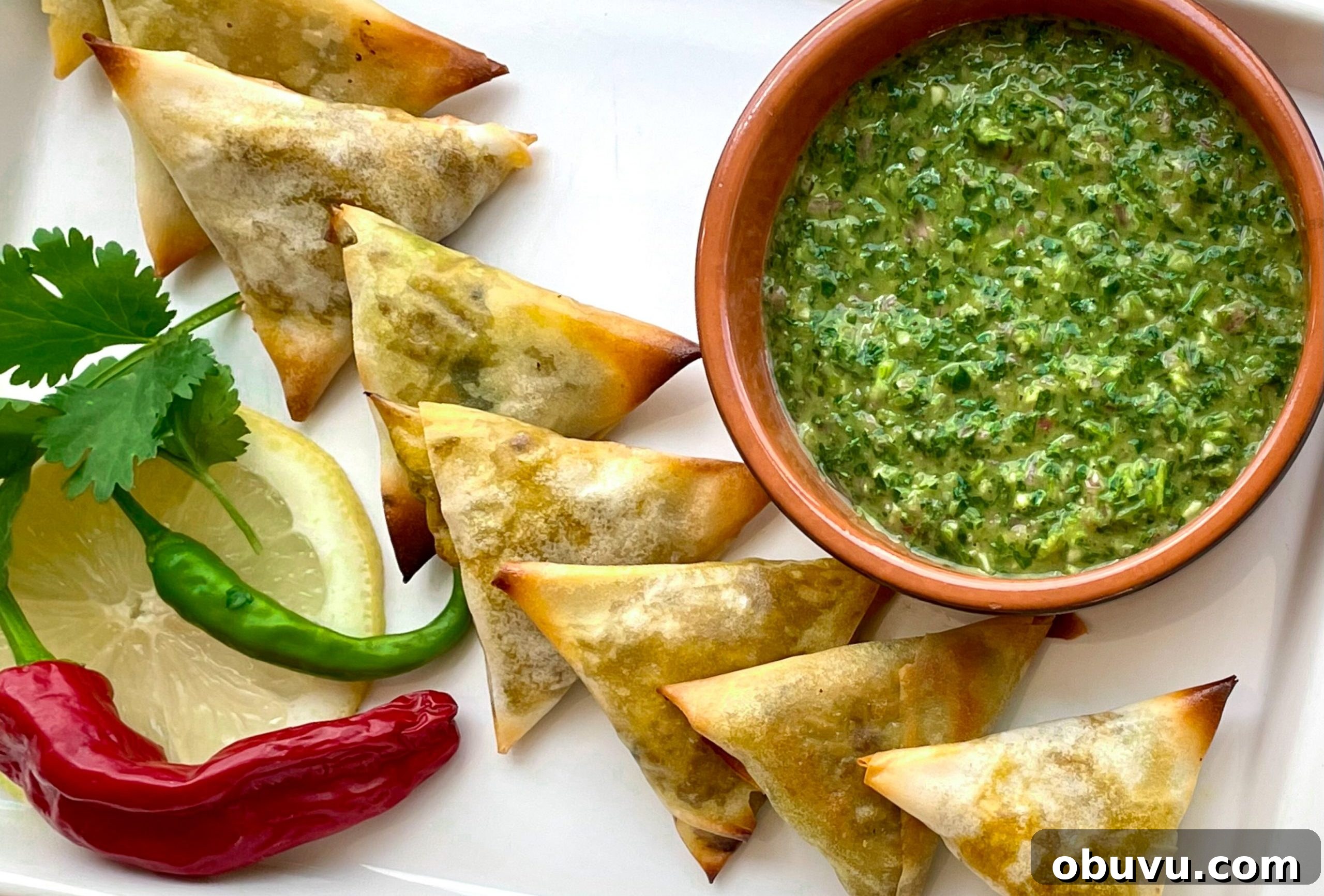 Chimichurri with samosas! Chimichurri with samosas!
