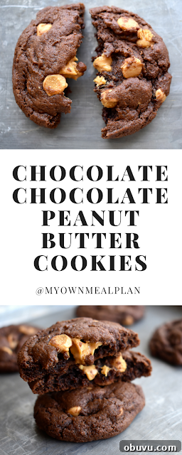 Double Chocolate Peanut Butter Cookie Recipe 2 Pin image