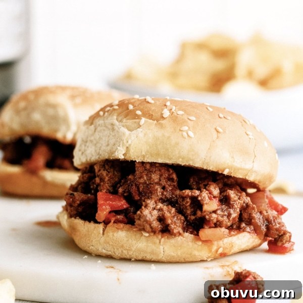 Sloppy Joe on a plate with another sloppy joe in the background and a bowl of chips.