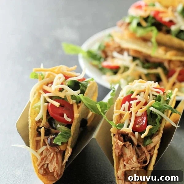 slow cooker black bean and corn salsa chicken