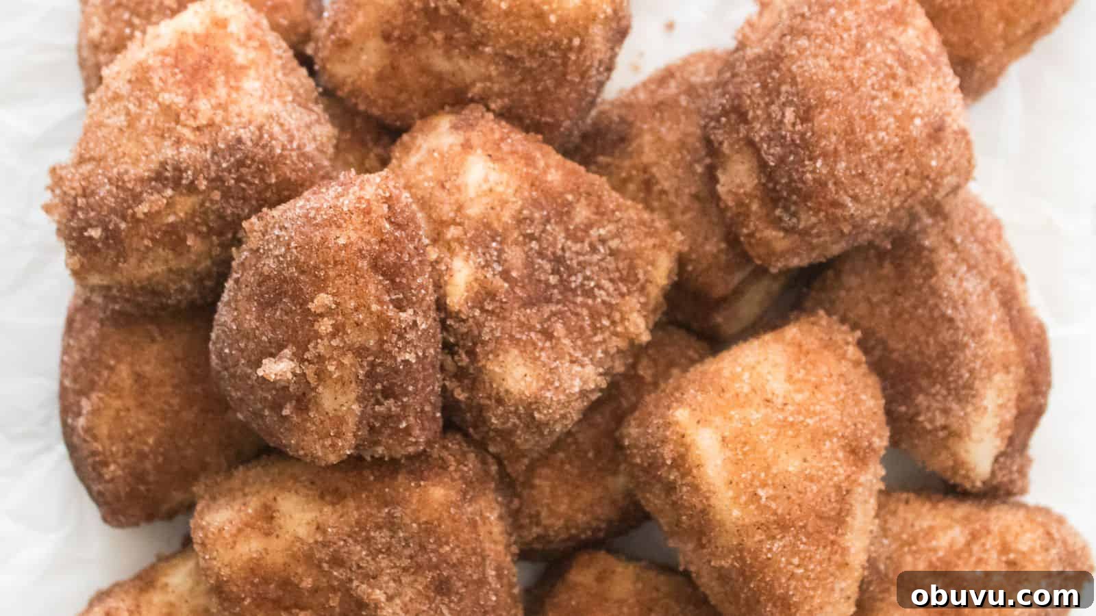 Close-up of Cinnamon Sugar Biscuit Bites, dusted in a sweet layer and piled on crisp white paper.