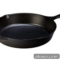 Lodge Cast Iron Skillet, Pre-Seasoned and Ready for Stove Top or Oven Use, 10.25", Black