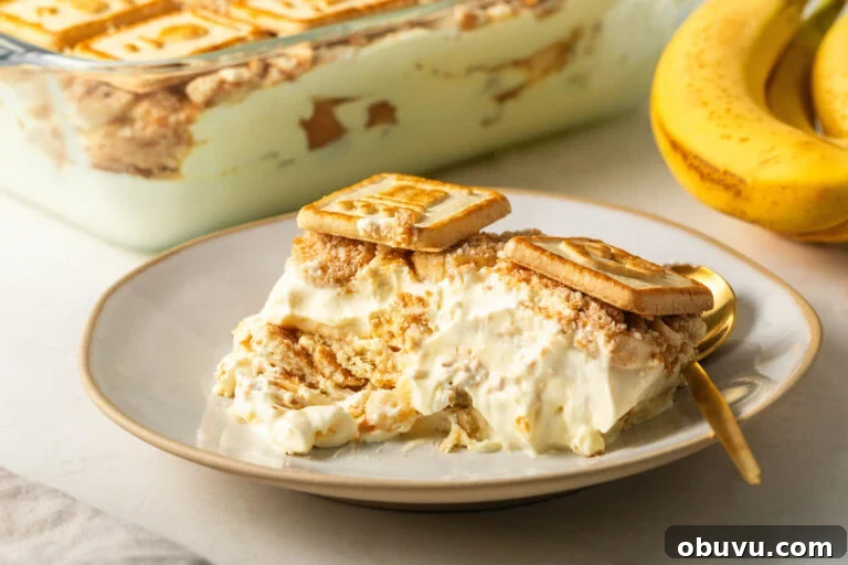 Soul Food Thanksgiving Menu 2024: 30+ Classic Recipes 39 plate of simple banana pudding
