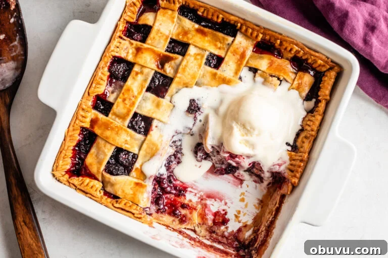 Soul Food Thanksgiving Menu 2024: 30+ Classic Recipes 41 pan of southern blackberry cobbler topped with ice cream