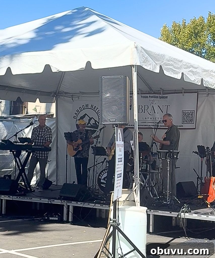 Musician playing on stage