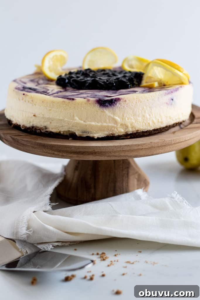 View of lemon blueberry cheesecake on cake pedestal