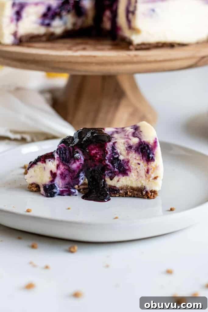 Slice of blueberry lemon cheesecake on plate