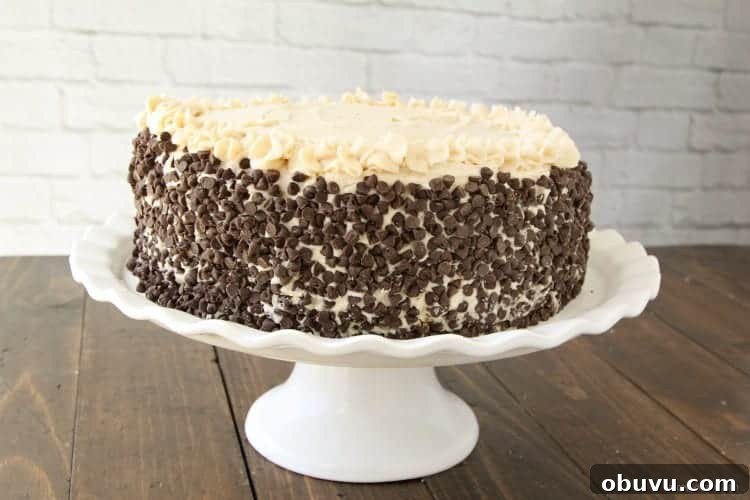 Cannoli Frosting recipe - easy homemade creamy Italian inspired frosting Cannoli Frosting on cake