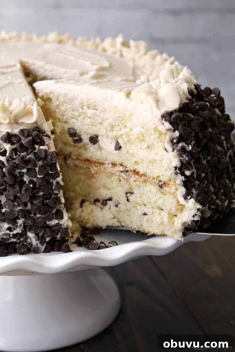 Cannoli Frosting recipe - delicious homemade frosting with ricotta, mascarpone, and mini chocolate chips Cannoli Cake with Cannoli Frosting