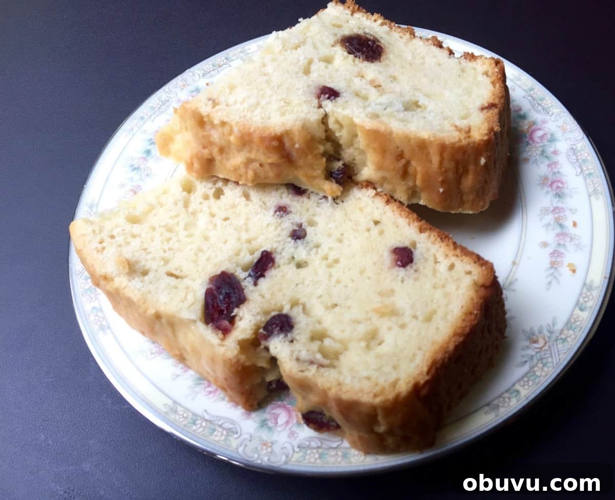 Two slices of cranberry soda bread on small plate.
