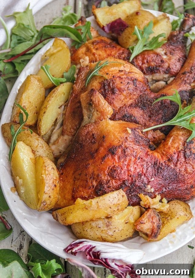 Cajun Chicken over Potatoes