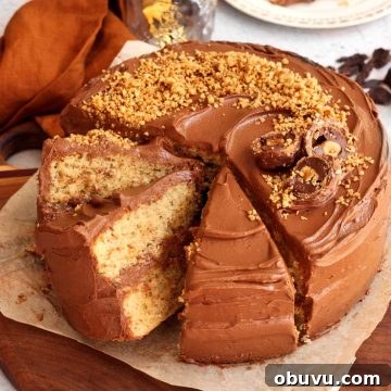 Decadent Chocolate Hazelnut Cake Recipe with Nutella Swirl 18 chocolate hazelnut cake