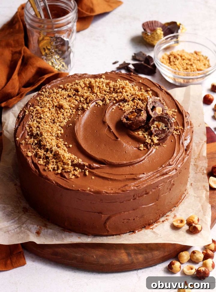Decadent Chocolate Hazelnut Cake Recipe with Nutella Swirl 9 chocolate hazelnut cake