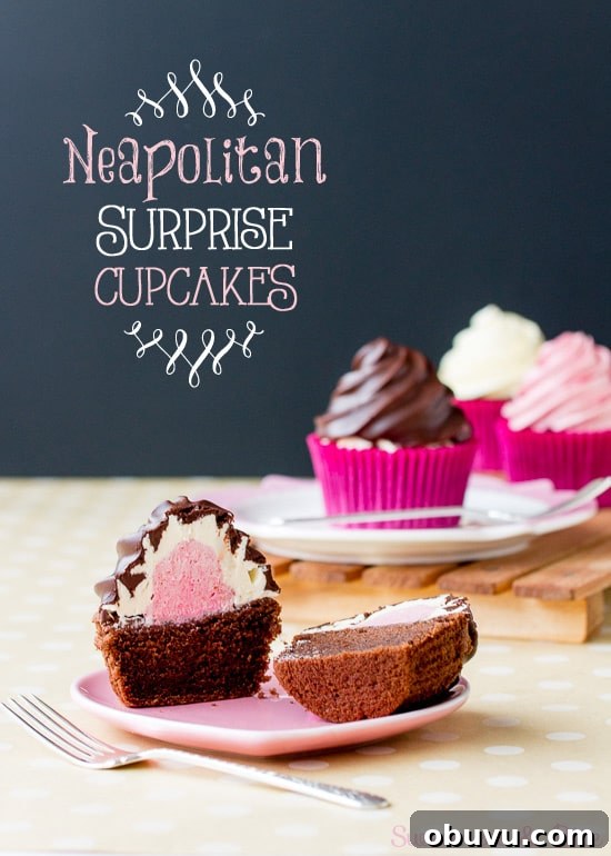 Neapolitan Surprise Cupcakes (Gluten-Free & Regular) 2 Neapolitan Surprise Cupcakes ~ Sweetness & Bite