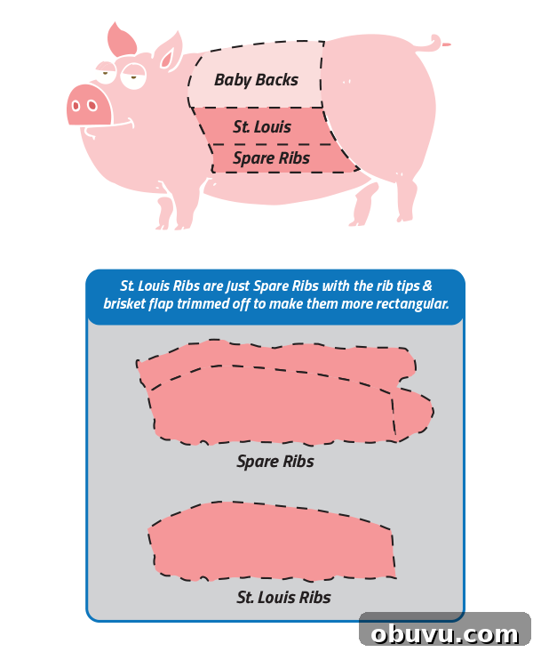 Sticky Korean-Style Spare Ribs Made in the Instant Pot 3 A diagram showing locations of rib types on a pig.