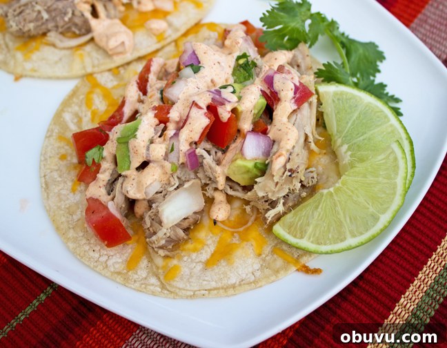 Mexican Pork Street Tacos