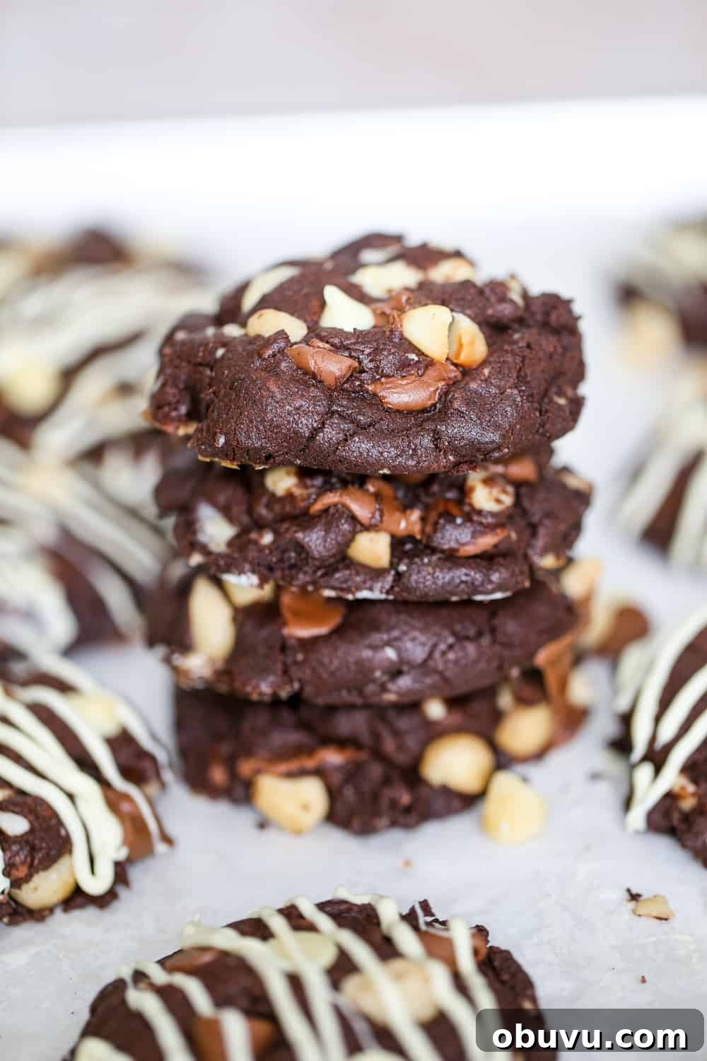Chewy Chocolate Macadamia Nut Cookies Recipe 2 Chocolate Macadamia Nut Cookies recipe