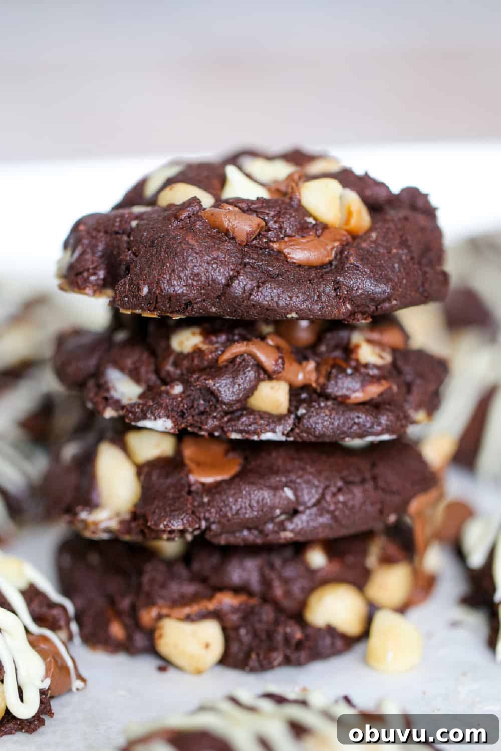 Chewy Chocolate Macadamia Nut Cookies Recipe 6 Chocolate Macadamia Nut Cookies recipe
