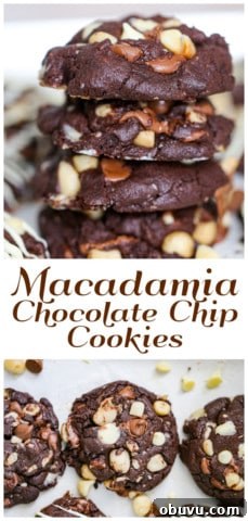 Chocolate Macadamia Cookies