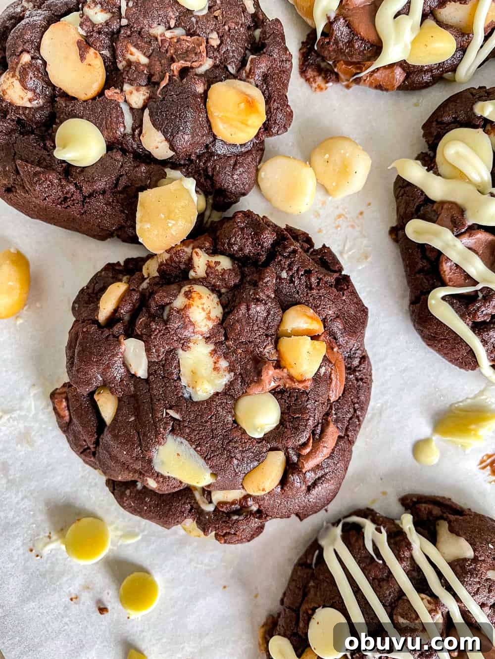 Chewy Chocolate Macadamia Nut Cookies Recipe 5 Chocolate Macadamia Nut Cookies recipe