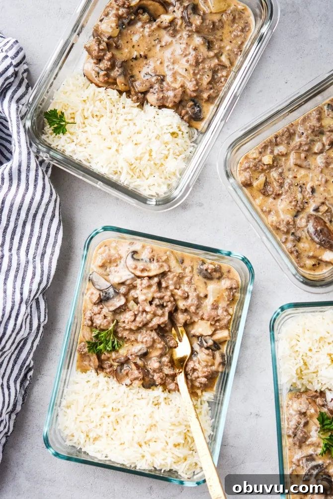ground beef stroganoff with rice 