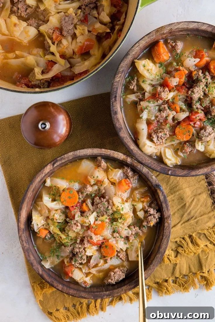ground beef and cabbage soup
