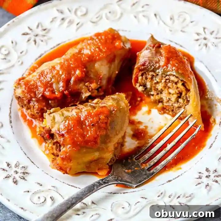 slow cooker cabbage rolls