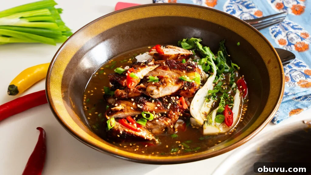 Brothy chicken and rice in a bowl with wok chop and other vegetables.