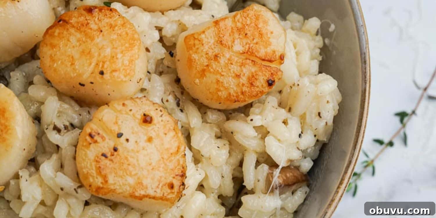 20 Fresh Seafood Dinner Recipes for Quick Weeknight Meals 7 Scallops and risotto.