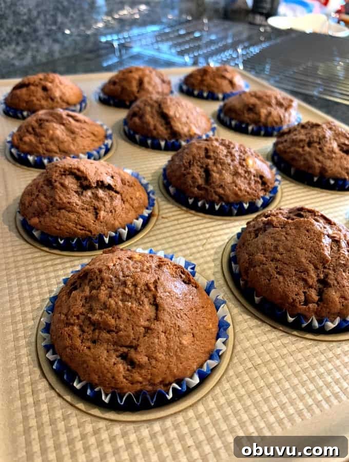 Sticky Caramel Banana Loaf Cake Recipe for Moist Homemade Bread 3 Chocolate Banana Muffins With a Caramel Drizzle Topping. Fluffy, soft and packed with bananas and chocolate. Perfect for breakfast, brunch or snack time.