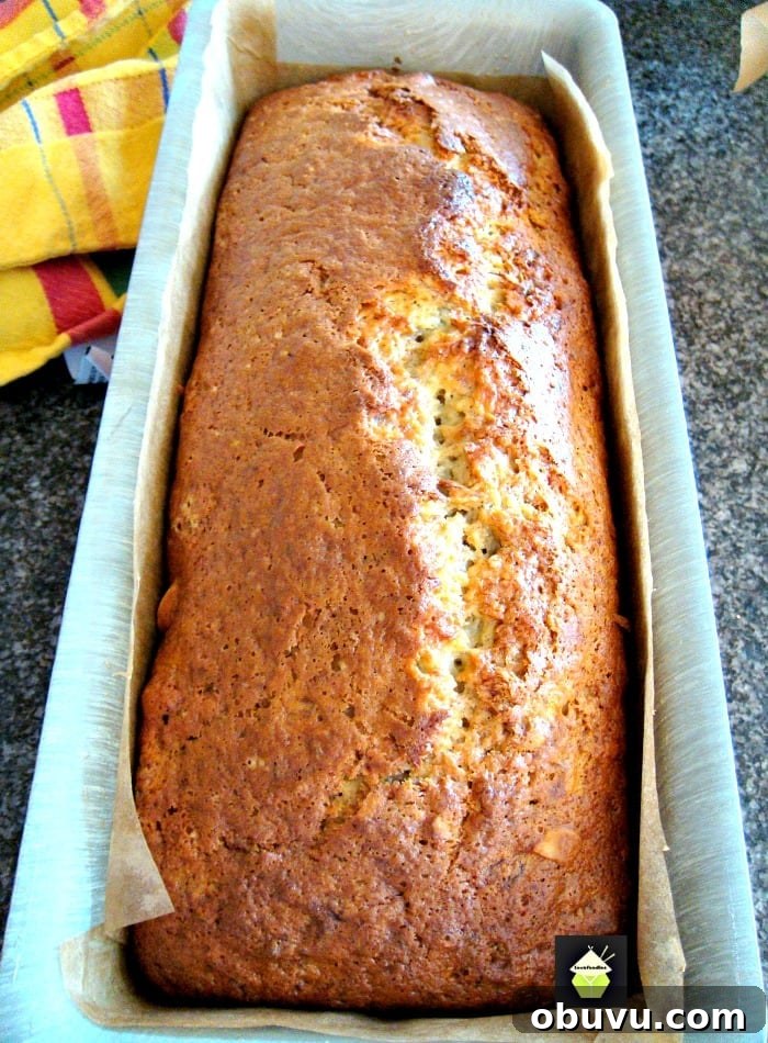 Sticky Caramel Banana Loaf Cake Recipe for Moist Homemade Bread 6 Caramel Banana Bread. Add nuts like I did or leave them out. Either way it's delicious!