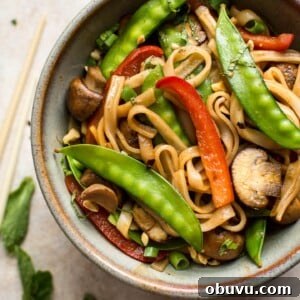 Flavorful Vegan Rice Noodle Recipes for Every Meal 5 This vegan rice noodle stir fry is quick, easy, and loaded with veggies and bold flavors. The sauce is infused with ginger, garlic, soy sauce, hoisin sauce, and sriracha!