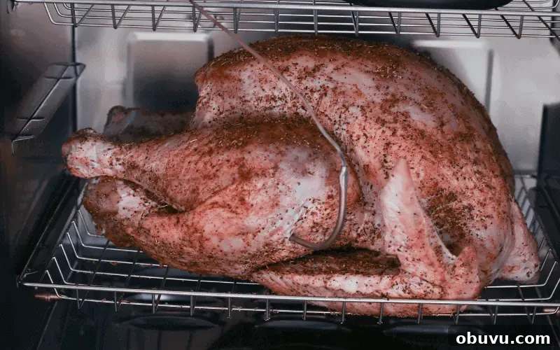What’s the Plastic Tag in Your Turkey and Why It’s There 3 seasoned turkey with all plastic removed sitting in an electric smoker