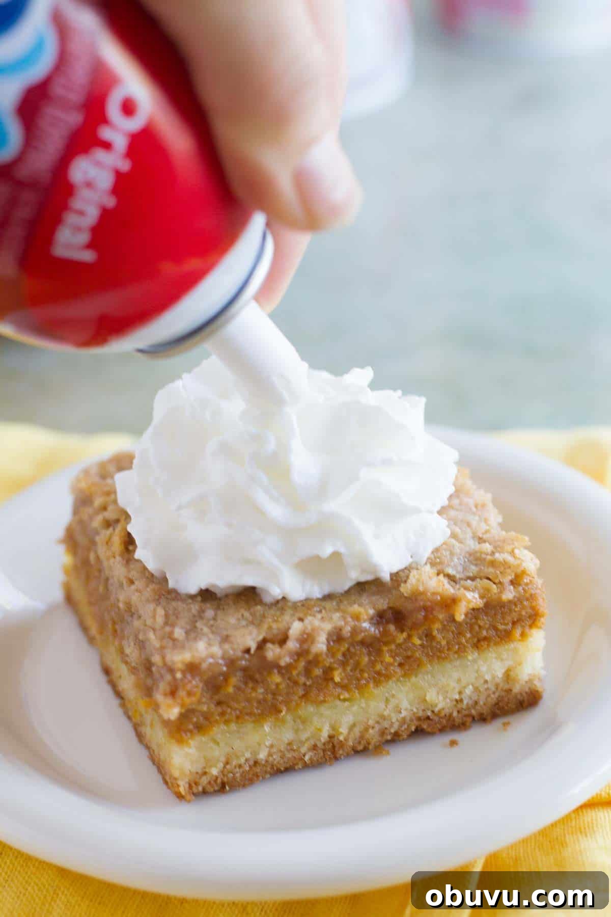 Decadent Pumpkin Pie Layer Cake Recipe 3 Adding Reddi-Wip to the top of a slice of Pumpkin Pie Cake.