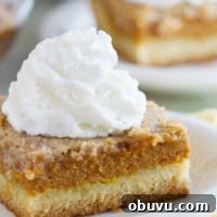 Decadent Pumpkin Pie Layer Cake Recipe 6 Slice of Pumpkin Pie Cake topped with a dollop of Reddi-Wip.