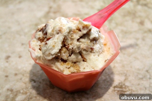 Cinnamon Bun Gelato