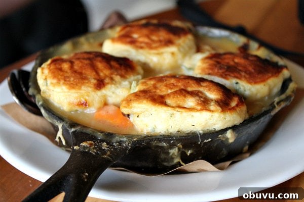 Rabbit and Dumplings