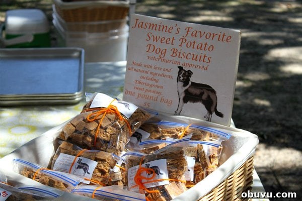Dog with Sweet Potato