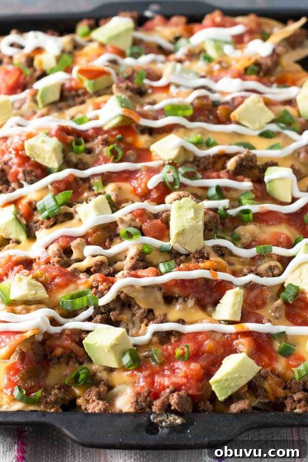 Ultimate Loaded Nachos Recipe with Melted Cheese & Toppings 2 Loaded Nachos (Extra Spicy!)