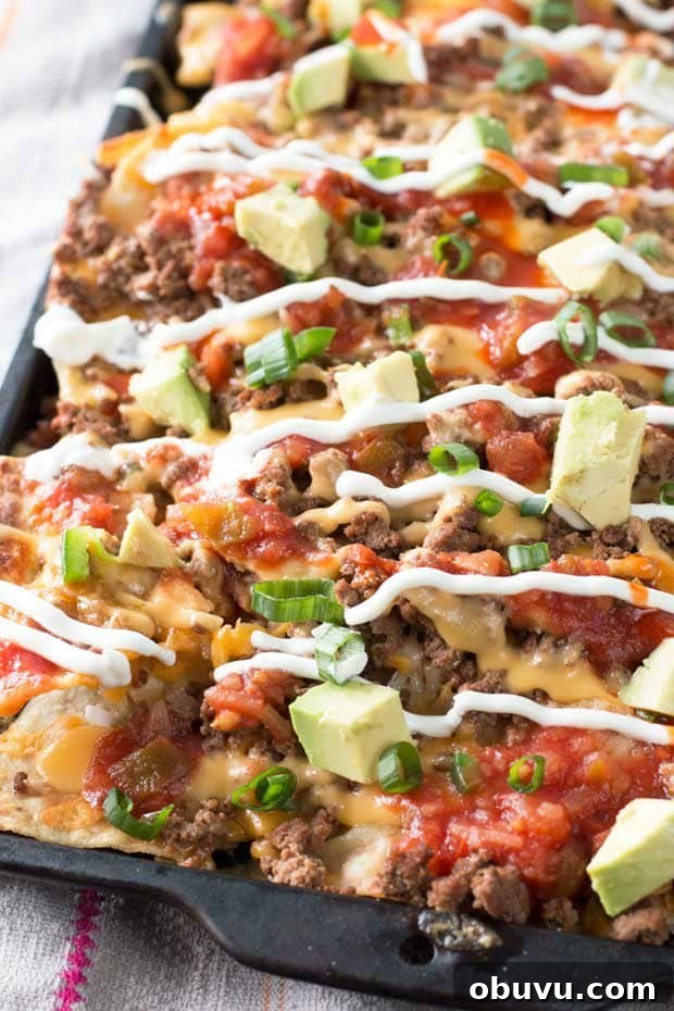 Ultimate Loaded Nachos Recipe with Melted Cheese & Toppings 3 Loaded Nachos (Extra Spicy!)