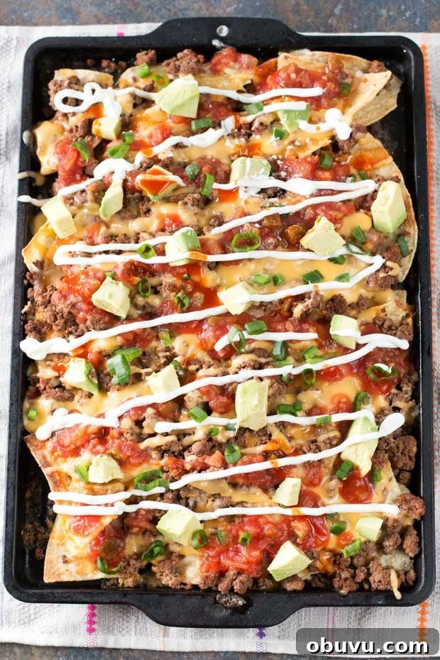 Ultimate Loaded Nachos Recipe with Melted Cheese & Toppings 4 Loaded Nachos (Extra Spicy!)