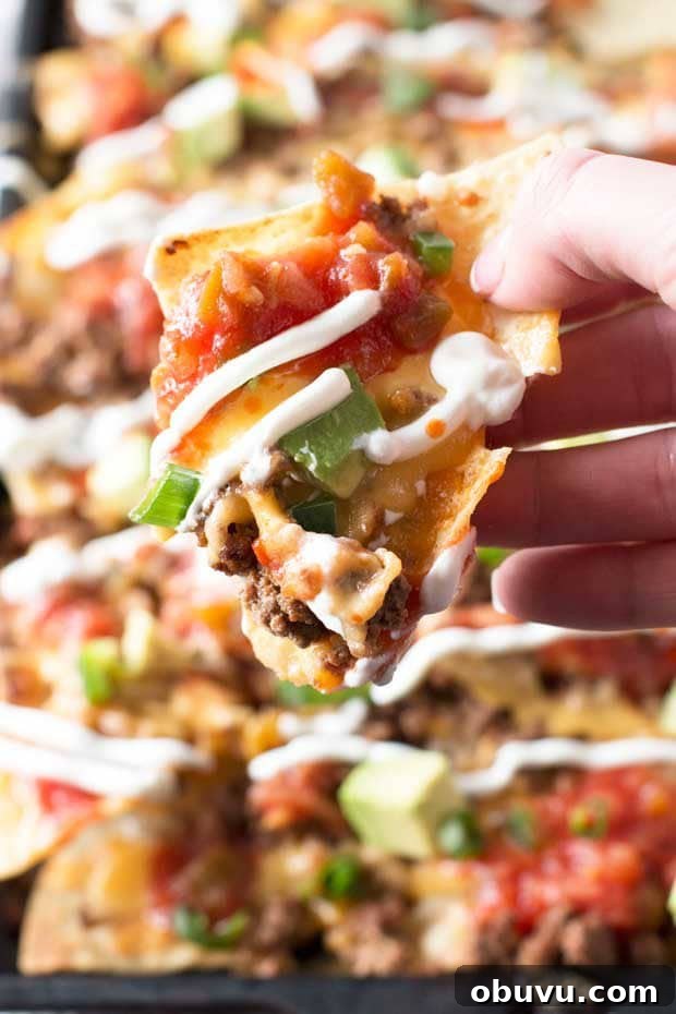 Ultimate Loaded Nachos Recipe with Melted Cheese & Toppings 5 Loaded Nachos (Extra Spicy!)