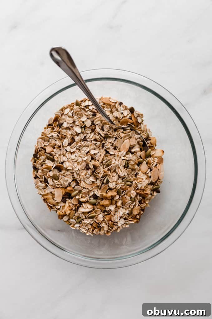 muesli in a mixing bowl