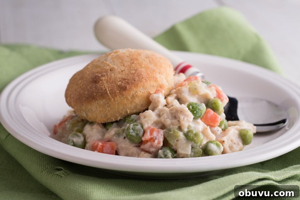 Chicken or Turkey Pot Pie